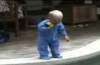 Bebé de 11 meses cai numa piscina sozinho e o IMPENSÁVEL acontece