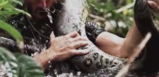 anaconda-come-homem
